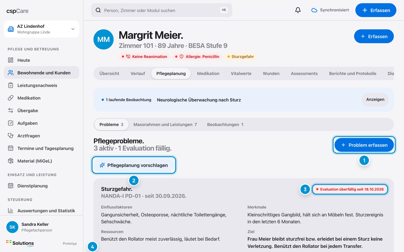 Pflegeplanung. Probleme, Ziele, Massnahmen.